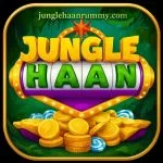 Jungle Haan Rummy app icon