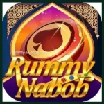 Rummy Nabob app icon