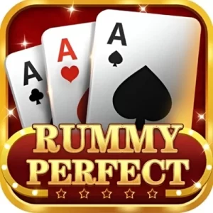 Rummy Perfect app icon